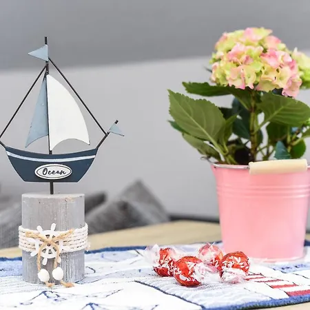 Wind & * 뉴할링거지어