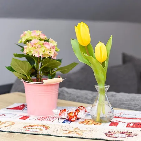 Wind & * Neuharlingersiel